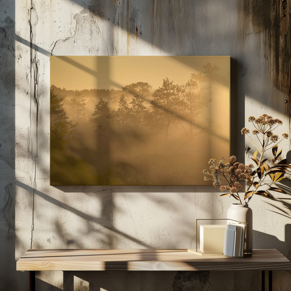 20220809 Dsf8002 1 | Leinwand