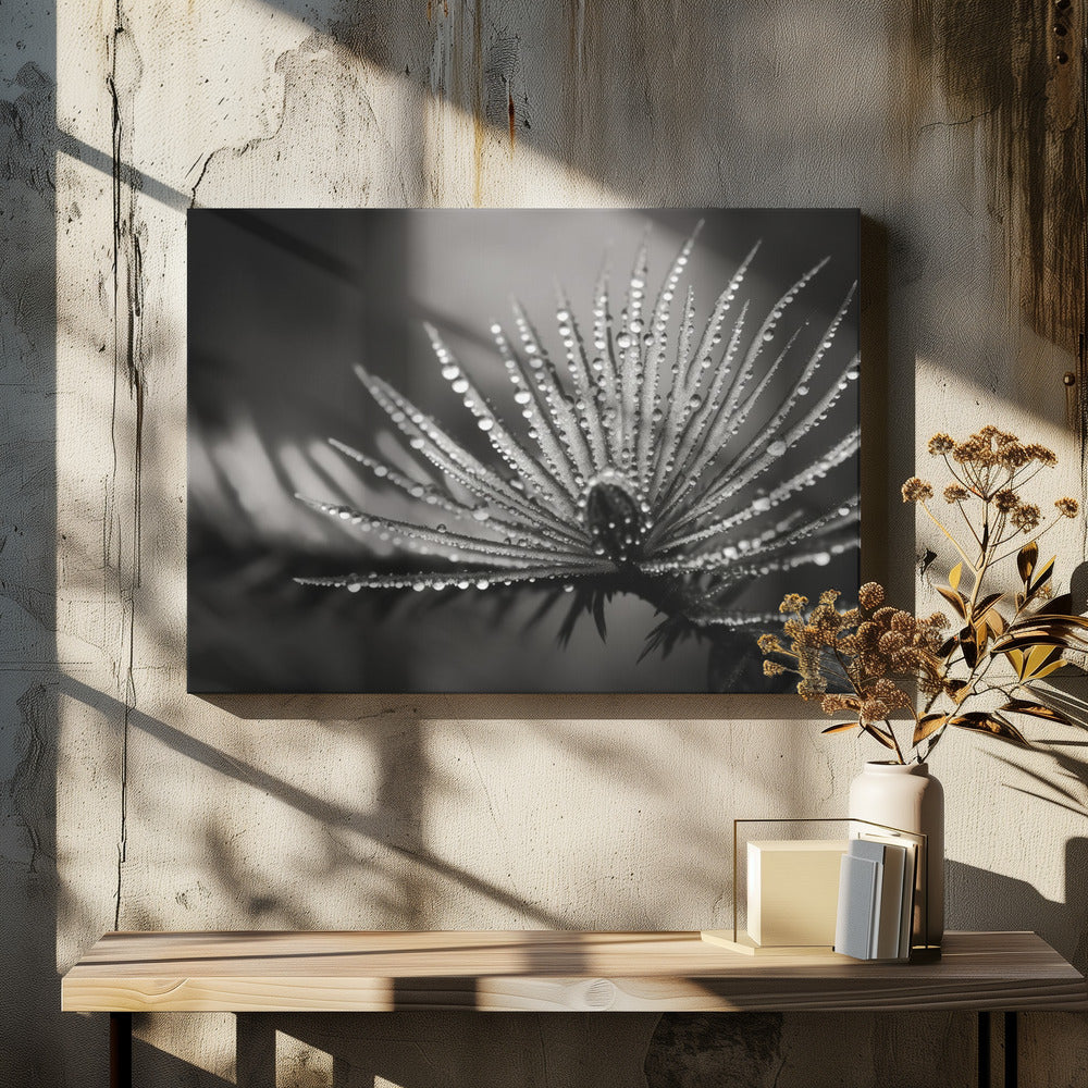 Taufrische Eleganz | Leinwand