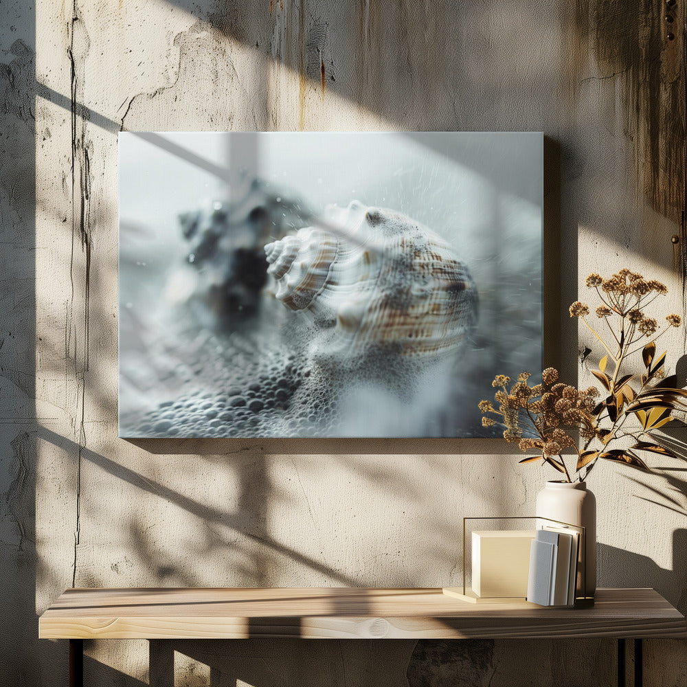 Muscheln im Meeresnebel | Leinwand