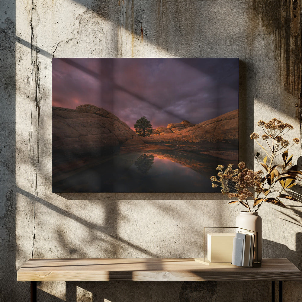 Morgenlicht | Leinwand