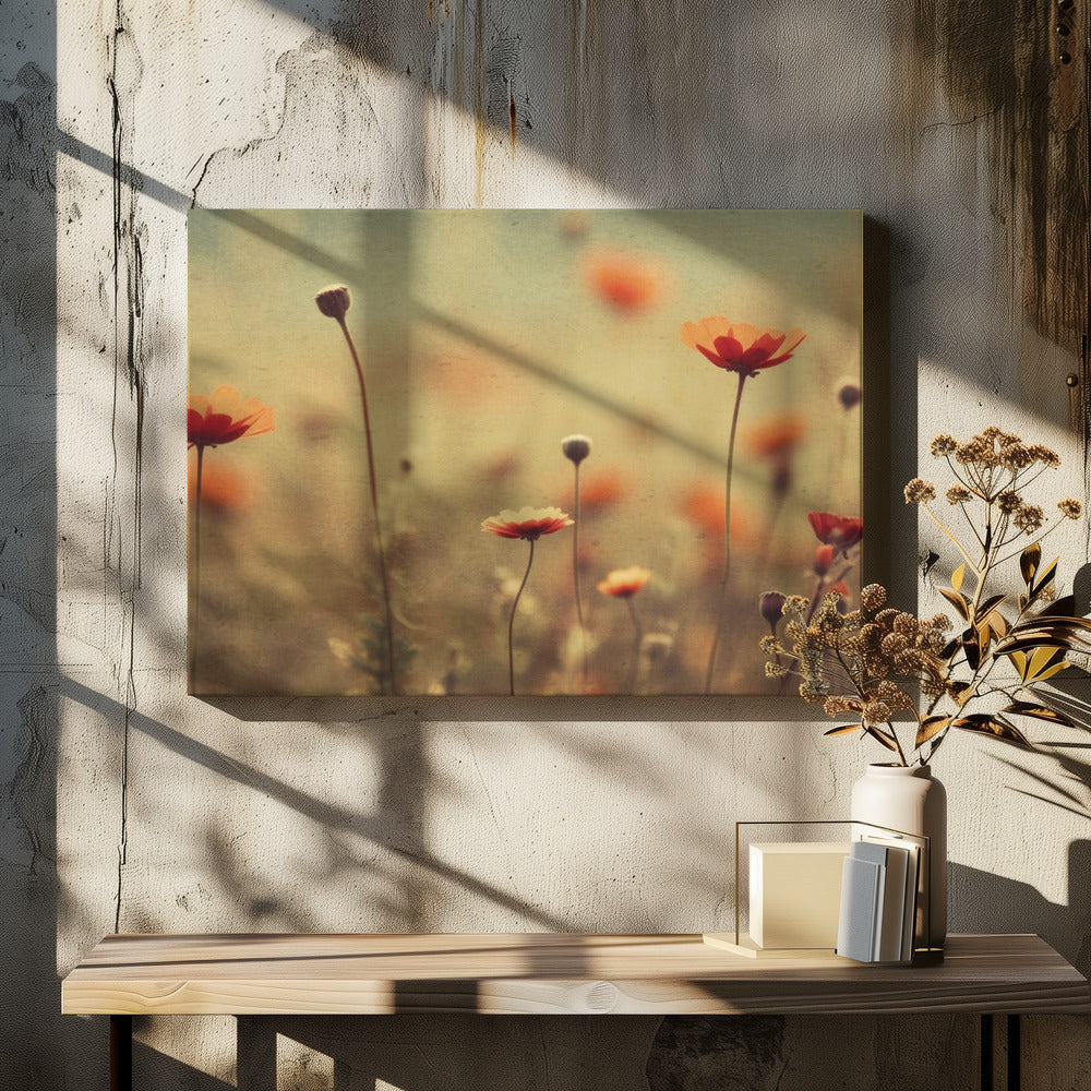 Flüsternde Mohnblumen | Leinwand
