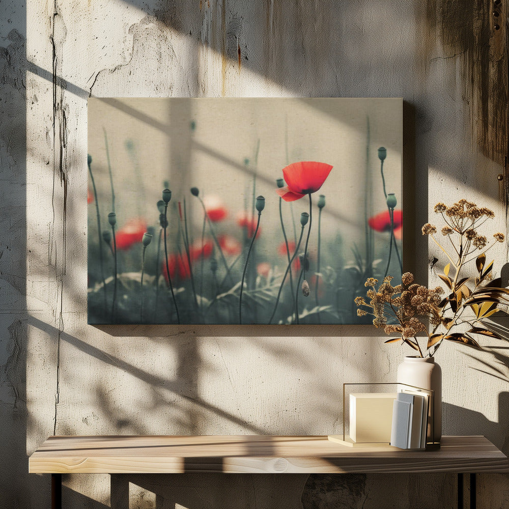 Mohnblumen im Nebel | Leinwand