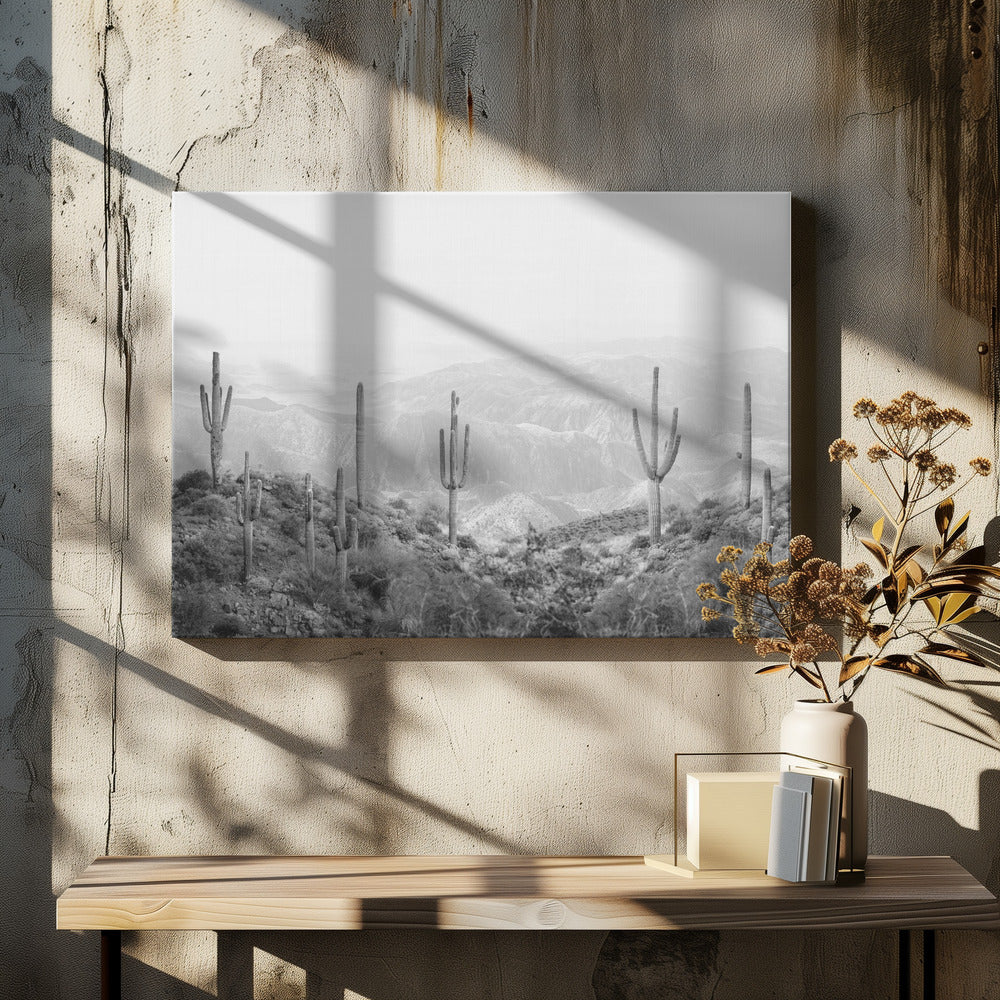 Westlicher Kaktus | Leinwand