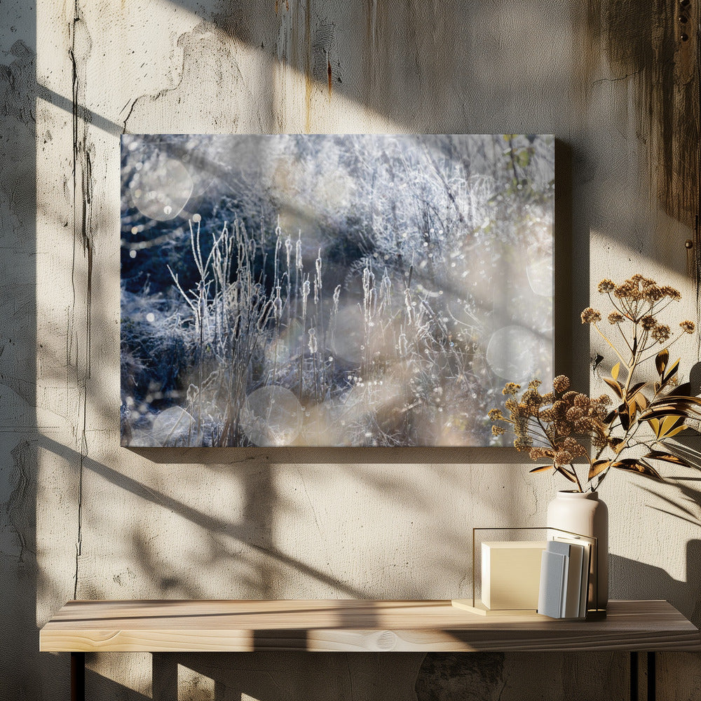 Ein Wintermorgen 3 | Leinwand