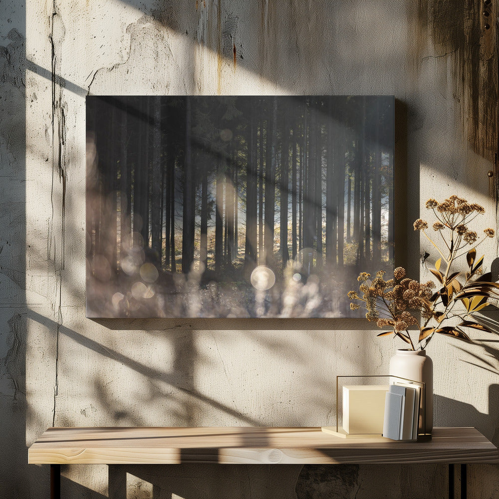 Forest Glow 1 | Canvas
