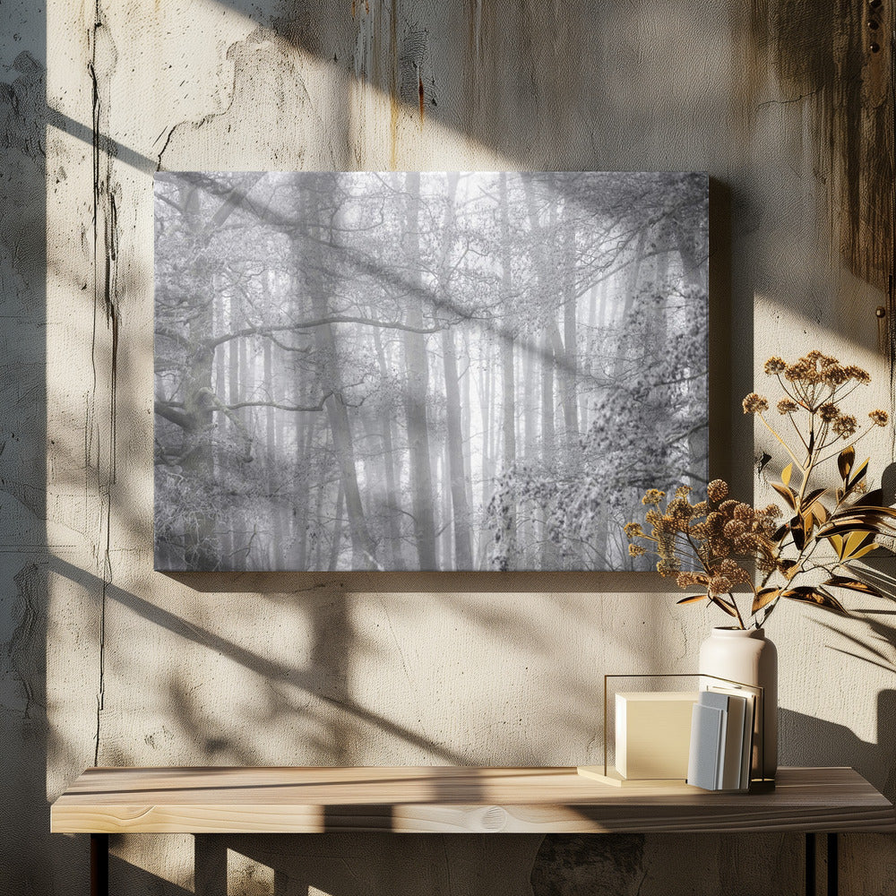 Nebliger Wintermorgen 2 | Leinwand