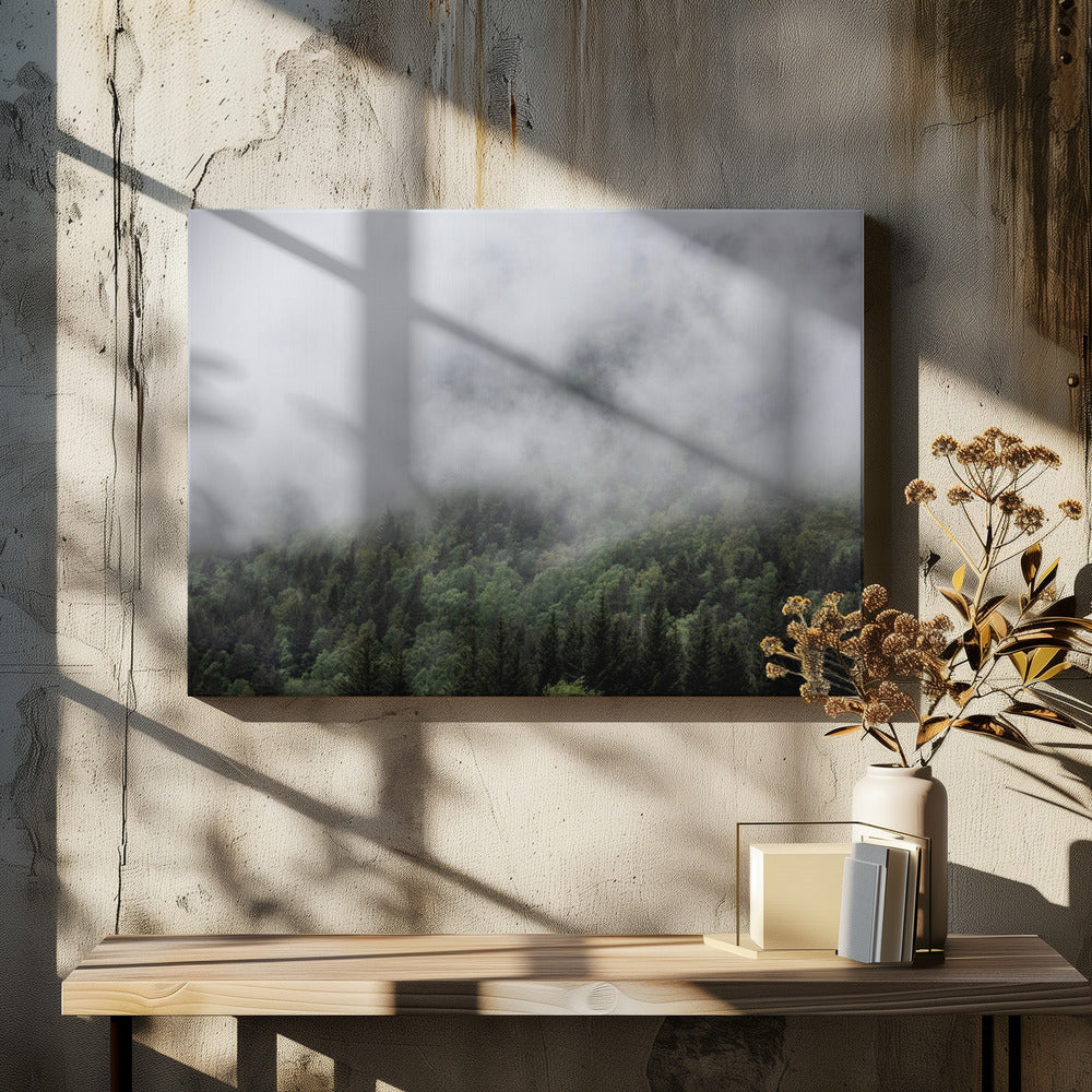 Irgendwo in Norwegen 5 | Leinwand