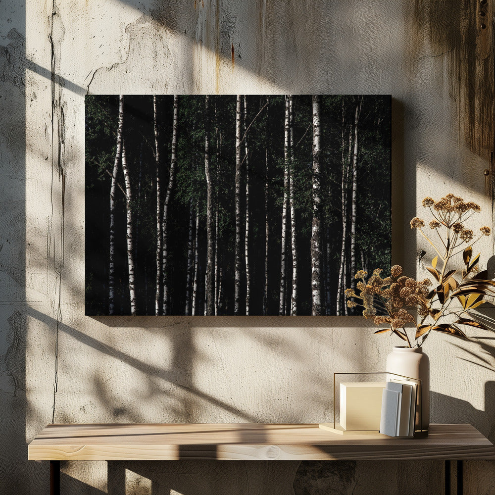 Irgendwo in Schweden 4 | Leinwand