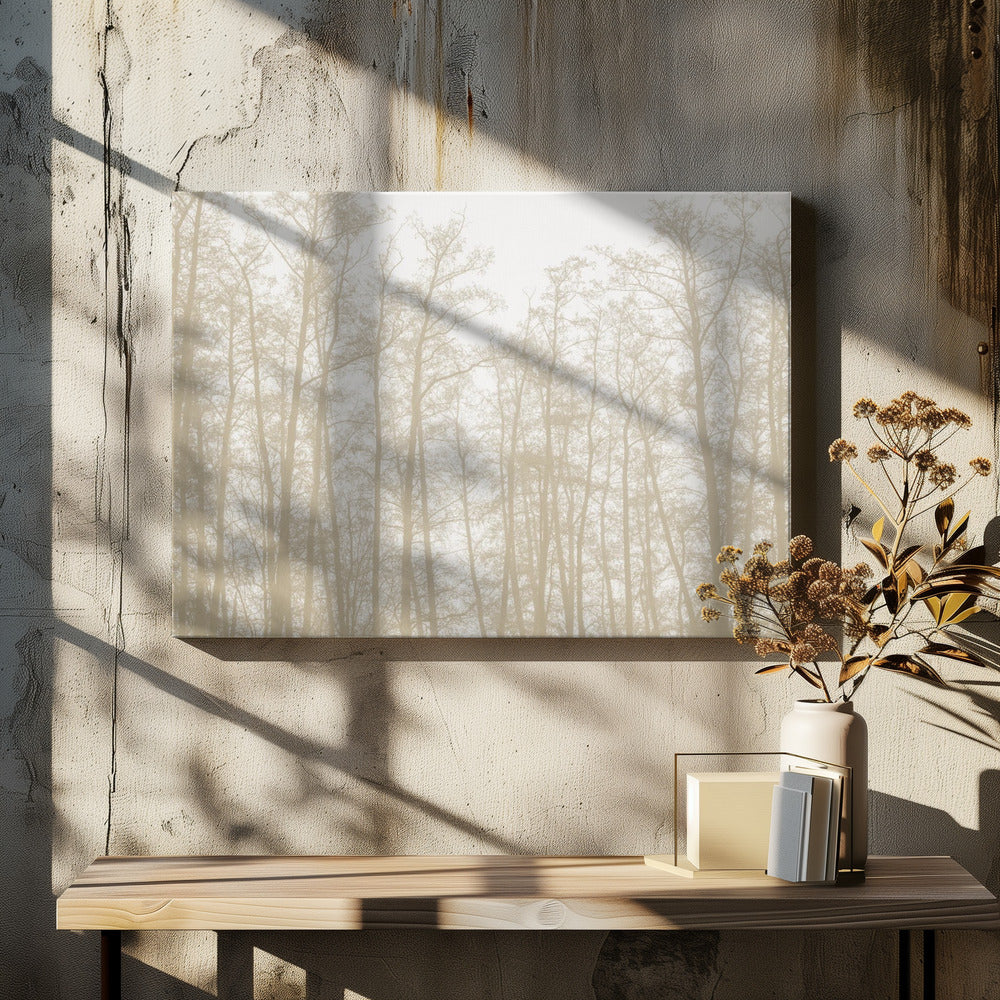 Baumsilhouetten 1 | Leinwand