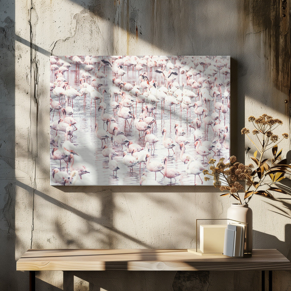 Flamingos | Leinwand