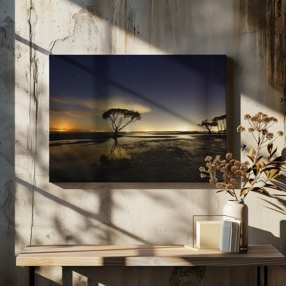 Moonrise | Canvas