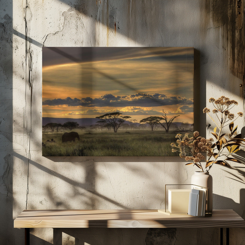 Africa | Canvas