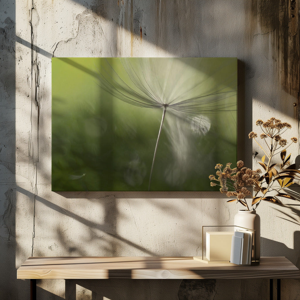 Schatten im Grünen | Leinwand