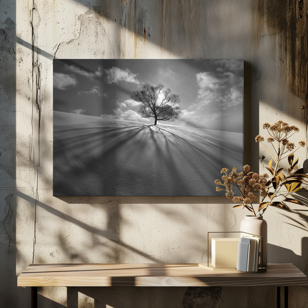 Baumschatten | Leinwand