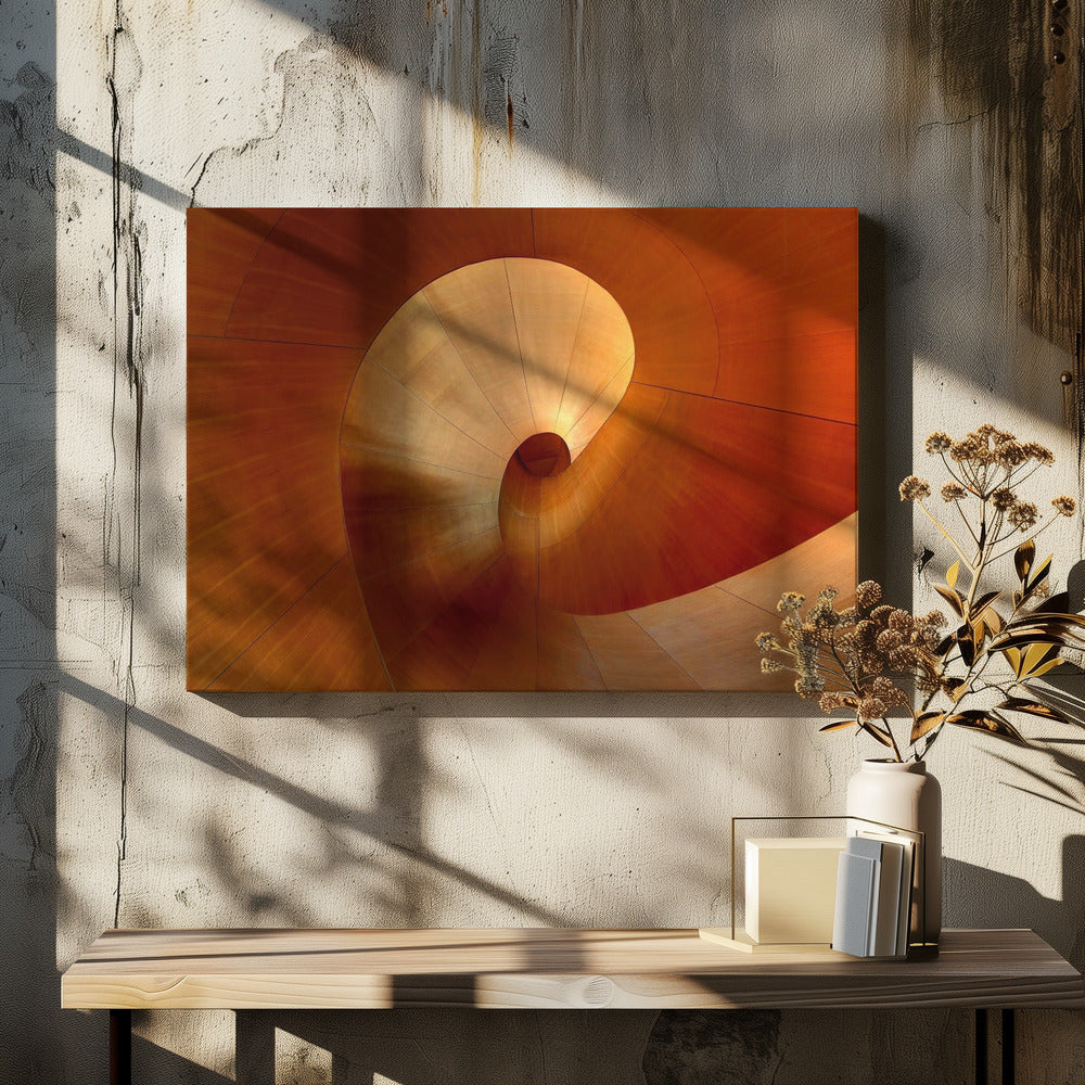 The Curve | Canvas