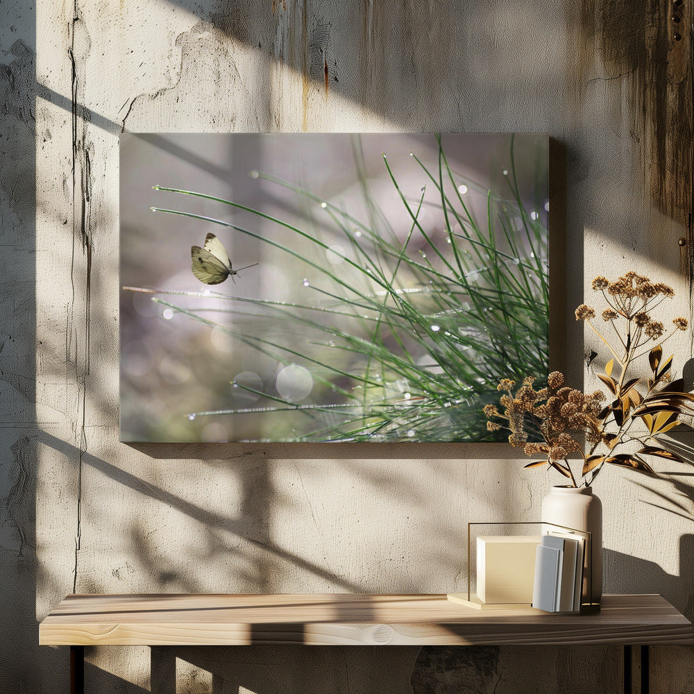 Bevorstehende Landung | Leinwand