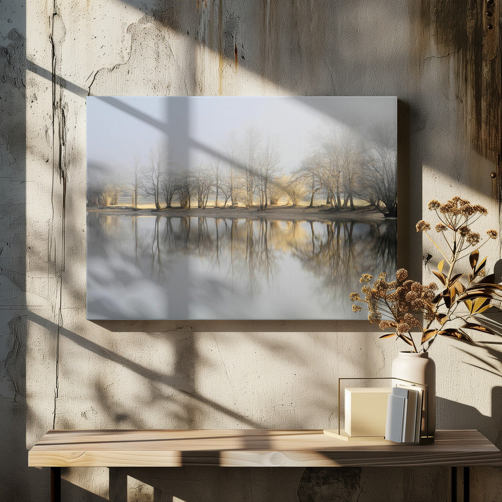 january morning | Canvas