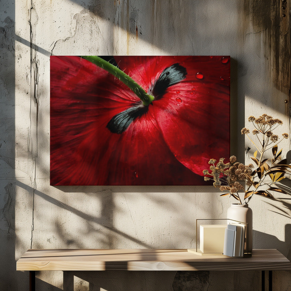 Papaver Leidenschaft | Leinwand