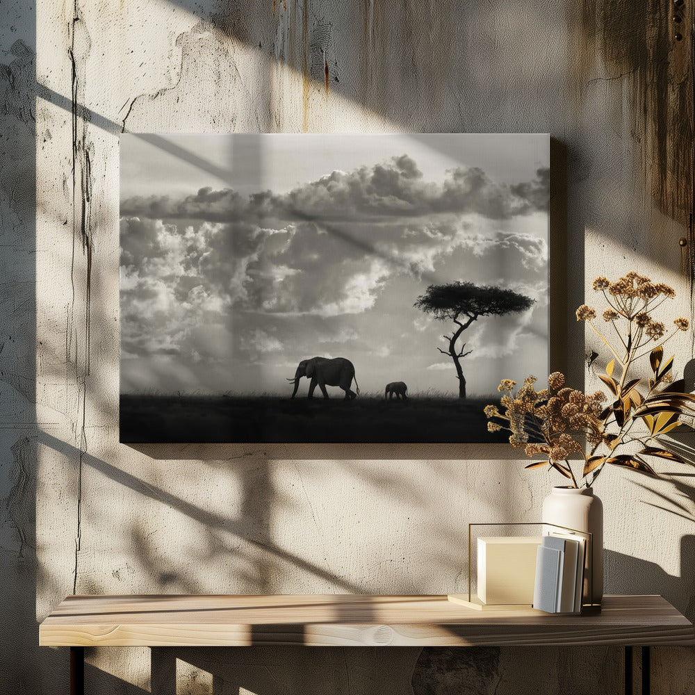 Silhouetten von Mara | Leinwand