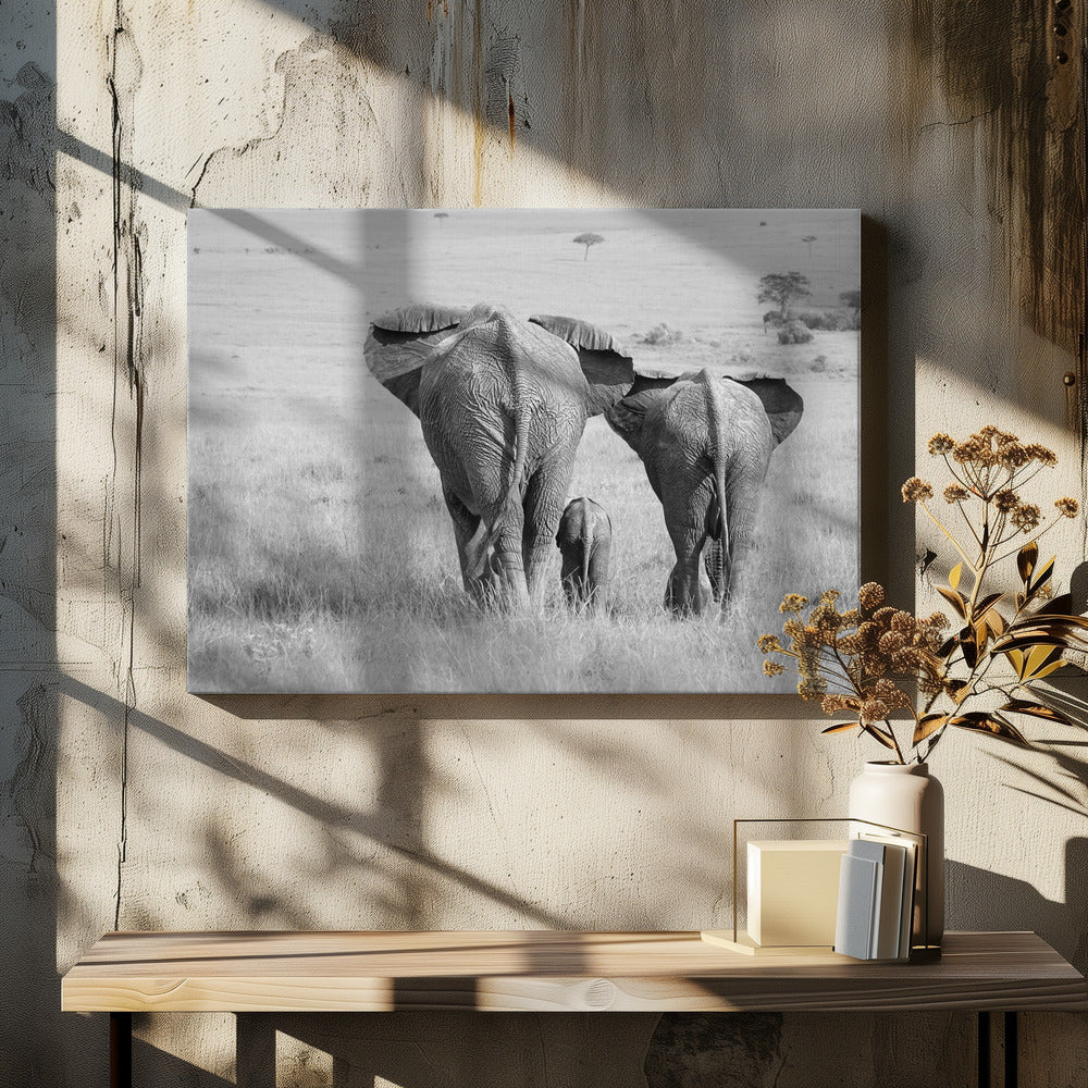 Drei Hintern! | Leinwand