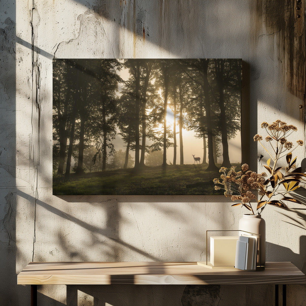 Hirsch im Morgennebel. | Leinwand