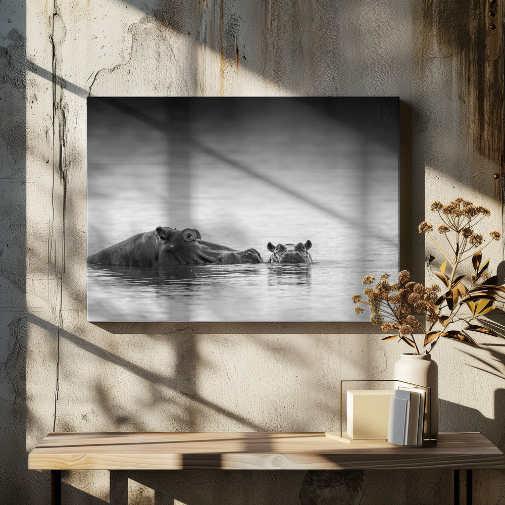Augenhöhe | Leinwand