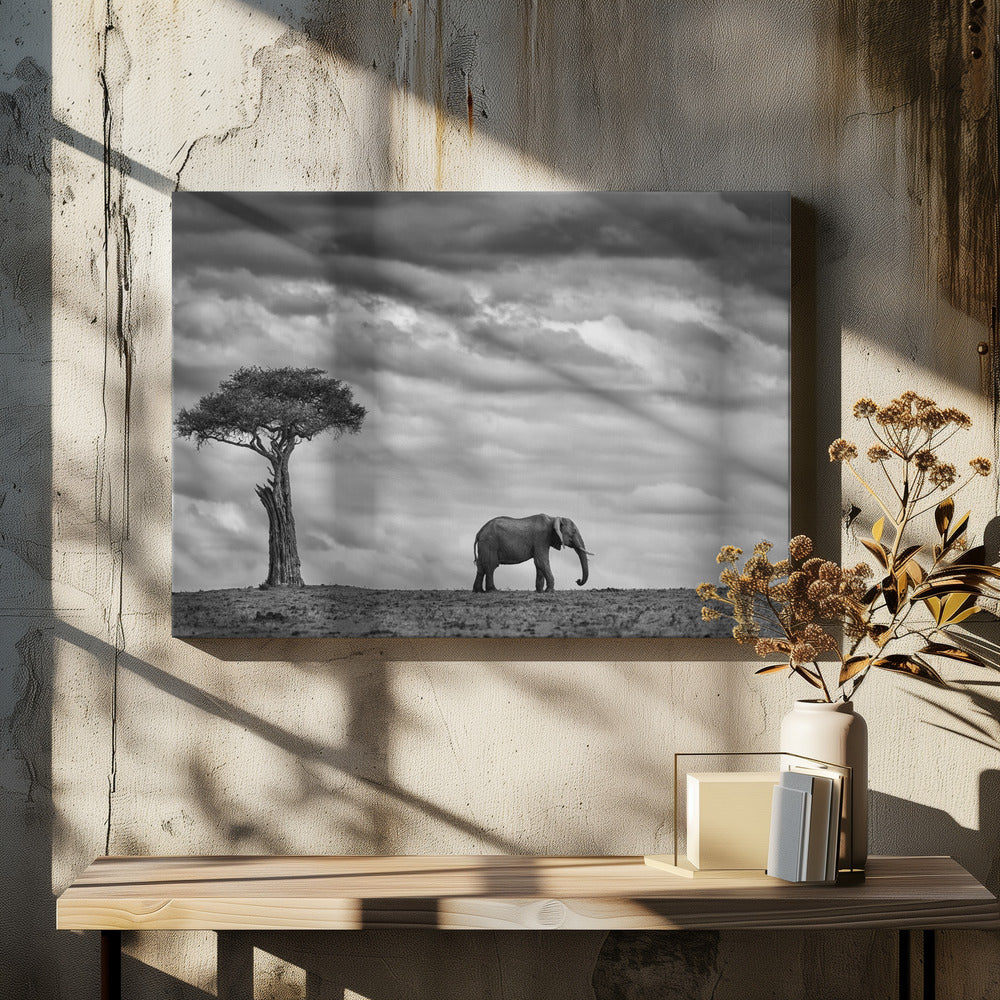 Elefantenlandschaft | Leinwand