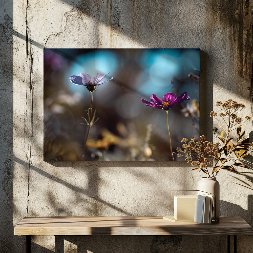 Le lien | Canvas