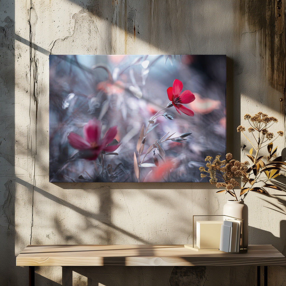 Eine Blume, eine Geschichte | Leinwand
