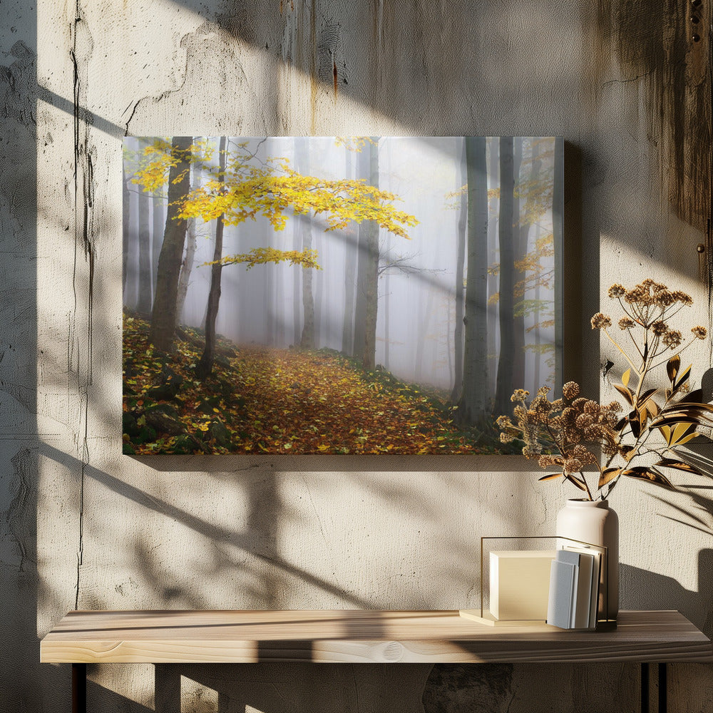 Ohne Titel | Leinwand