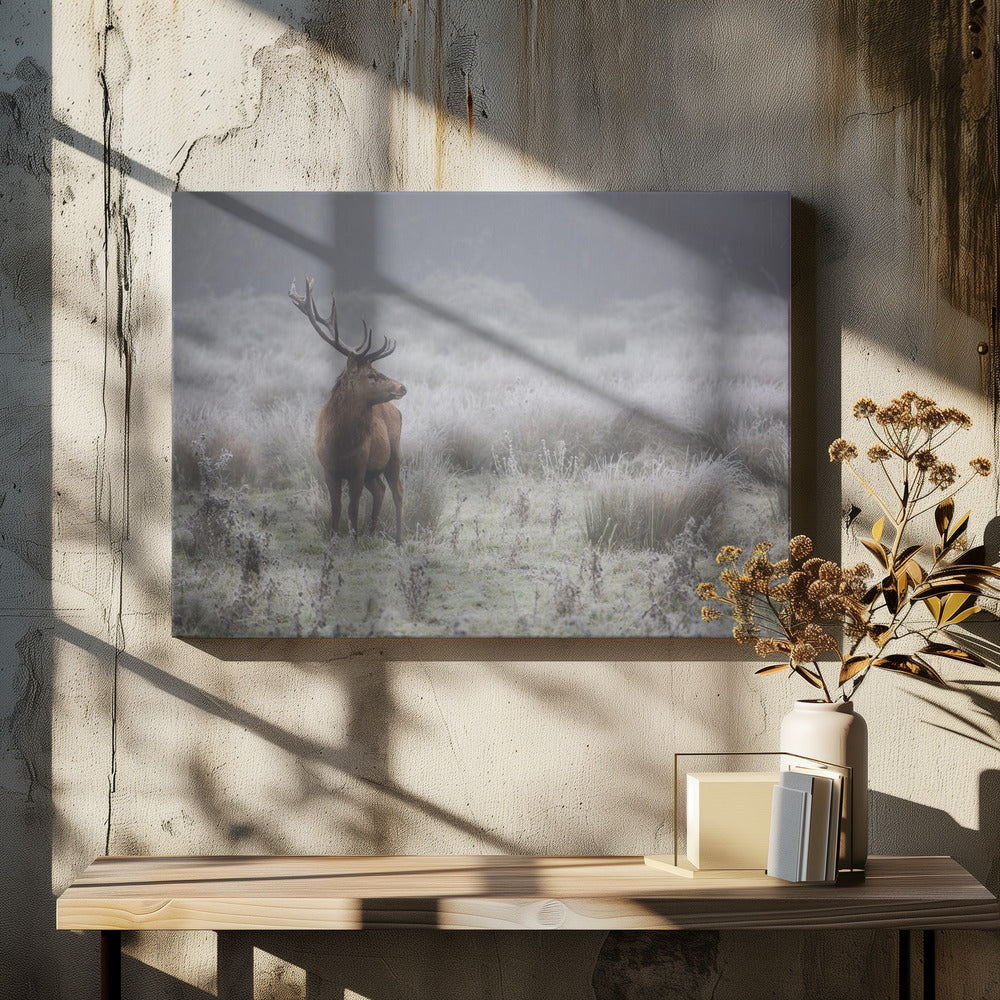Stolz. Hirsch. | Leinwand