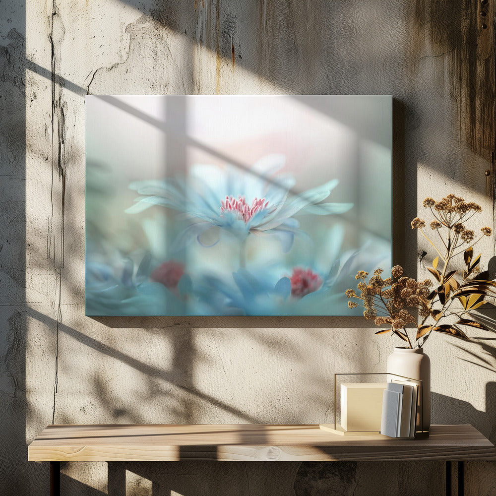Fantasy | Canvas