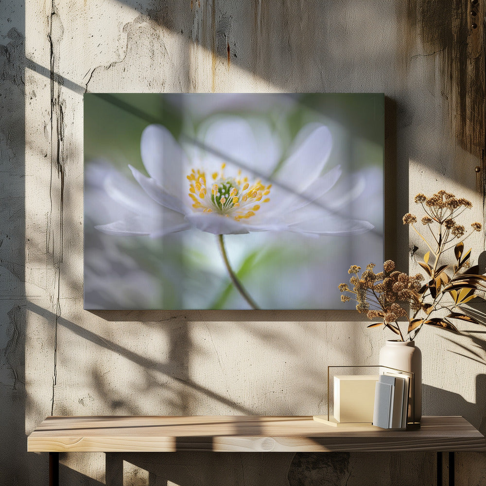 Nemorosa Nirvana | Leinwand