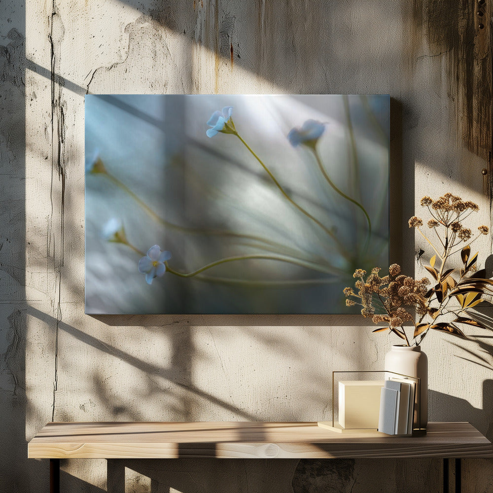 Jasmin | Leinwand