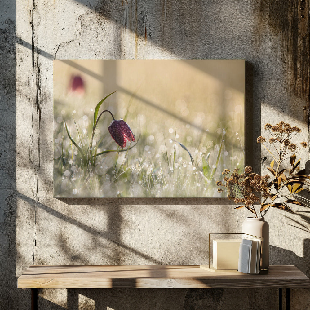Morgentau | Leinwand