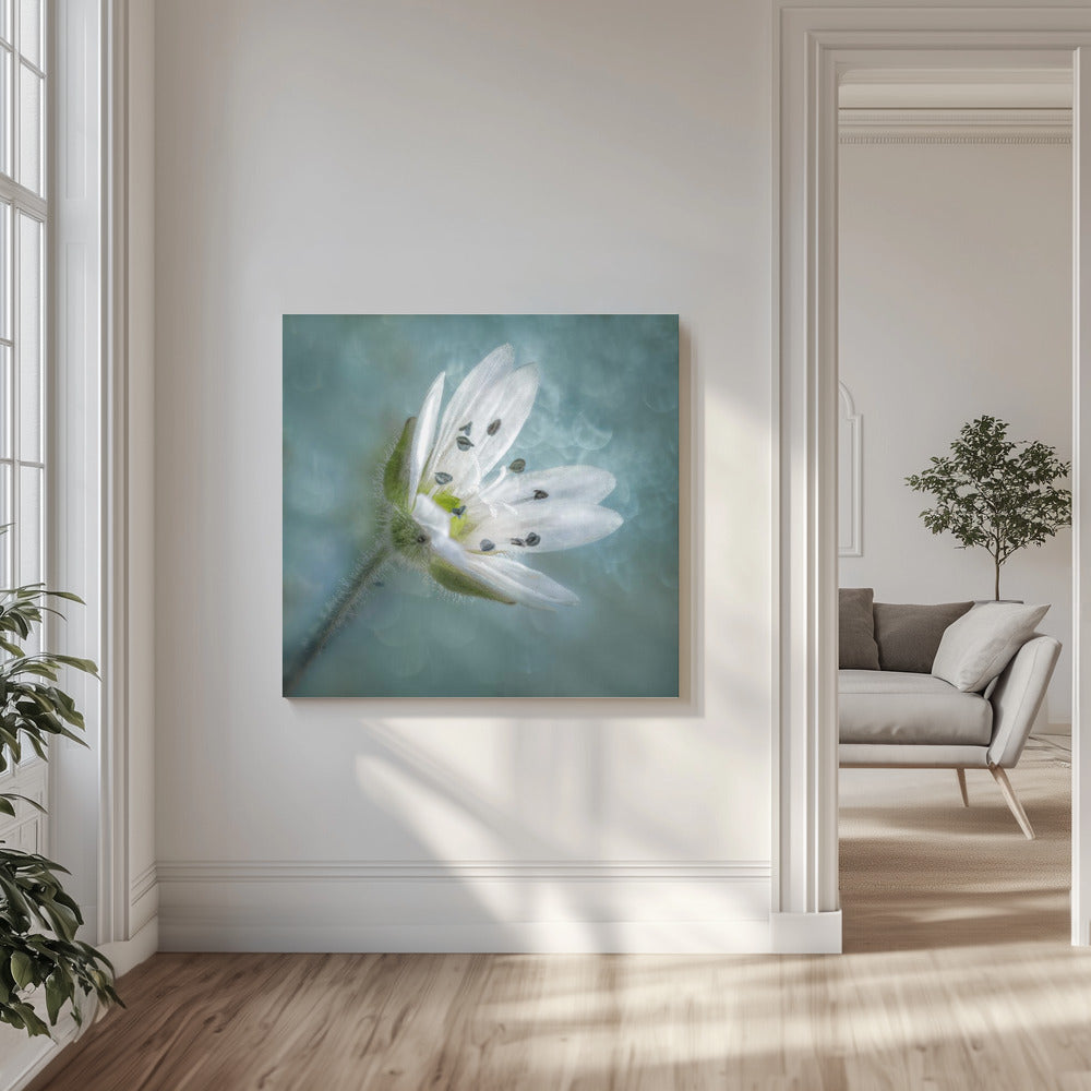 Naked | Canvas