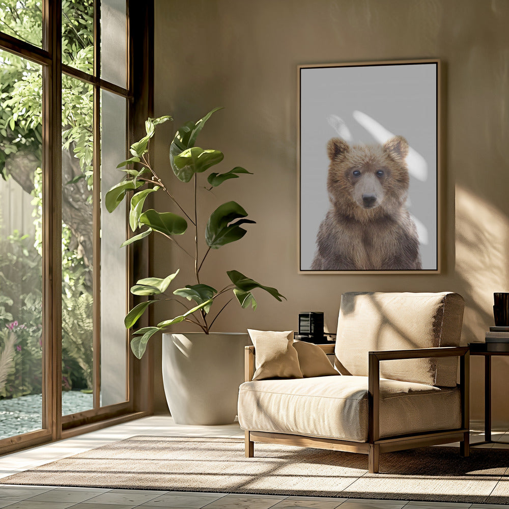 Babybär | Poster