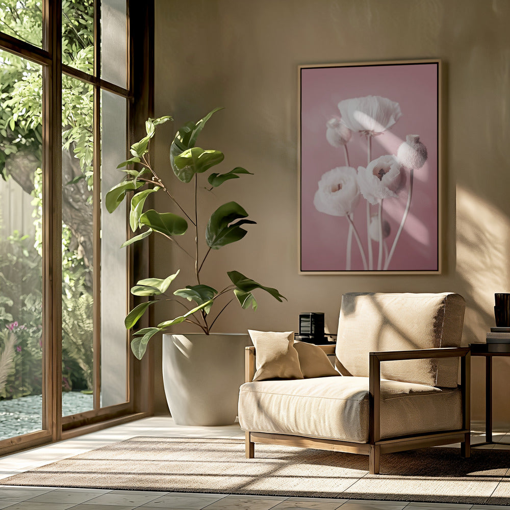 Soft Blooming Poppies | Poster