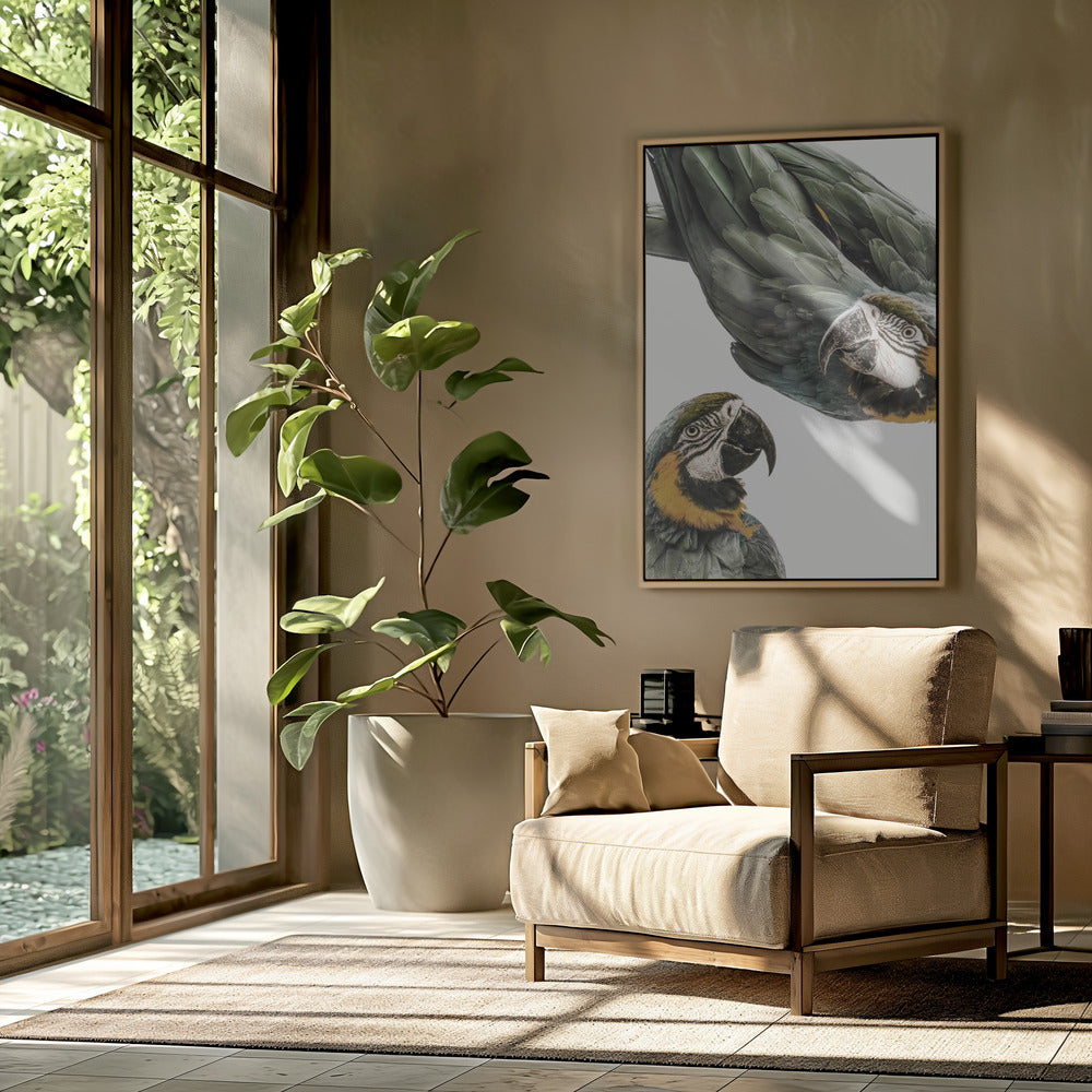 Vibrant Parrot Duo | Poster