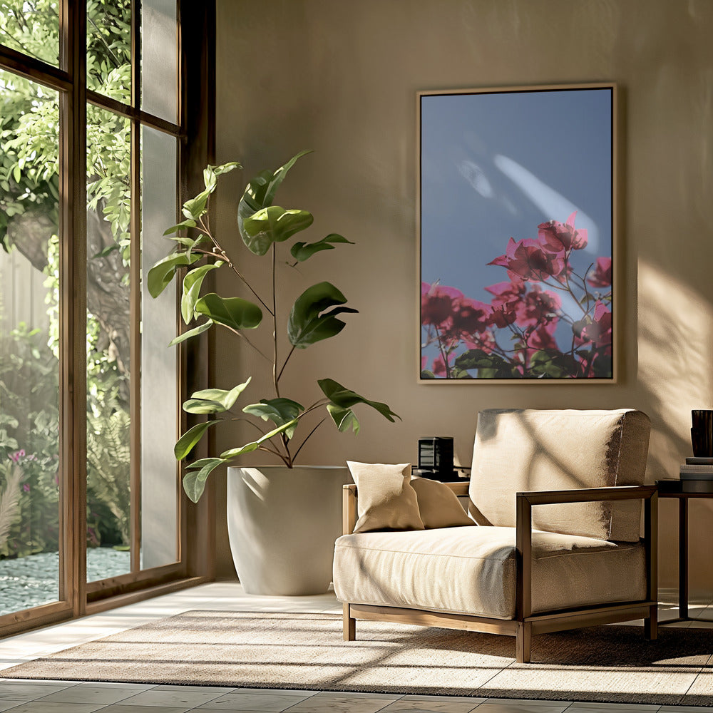 Bougainvillea Bliss | Poster
