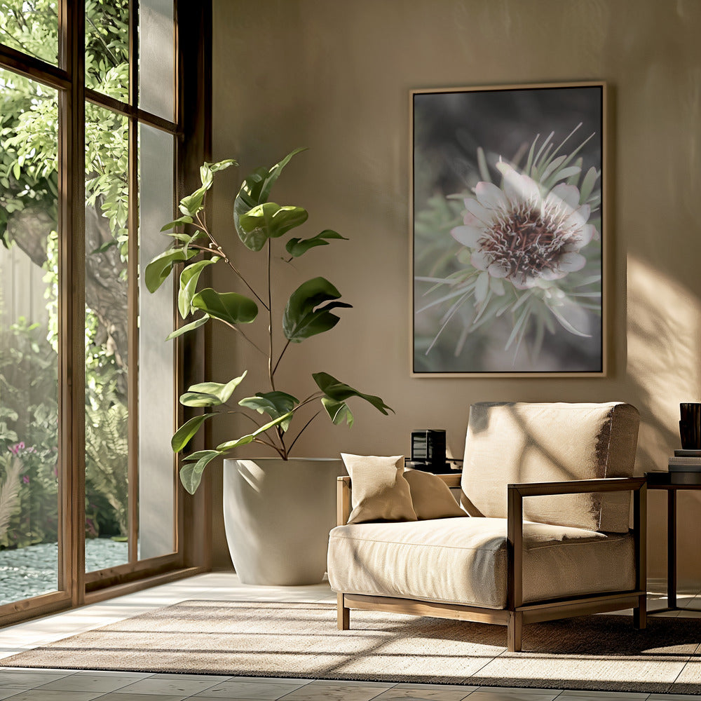 Wüstenblüte Halo | Poster