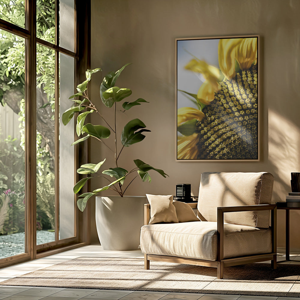 Sonnenblume Nahaufnahme | Poster