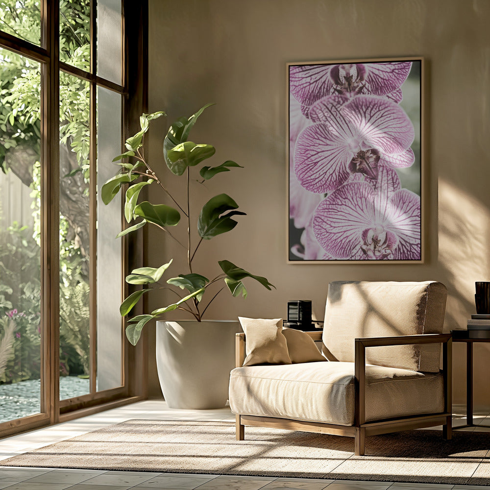 Tigerblüten | Poster
