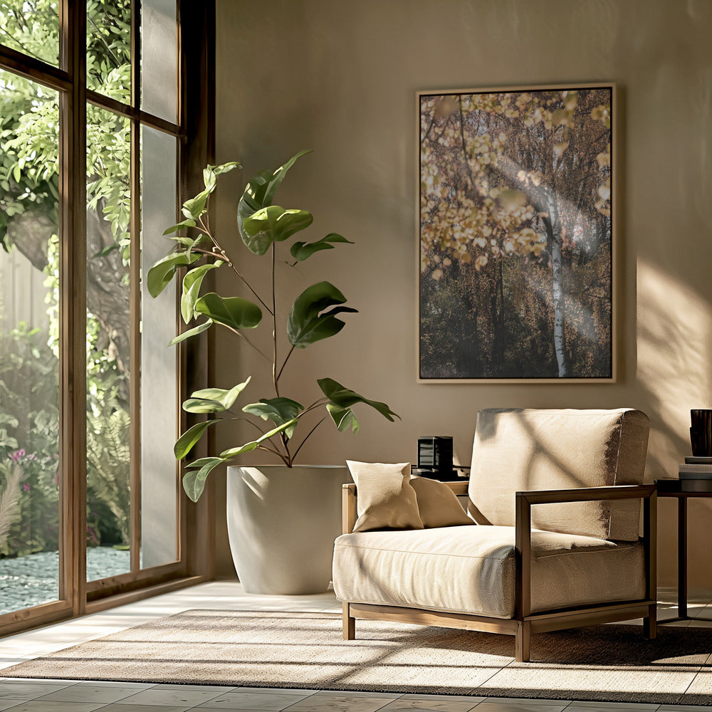 Herbstbirke | Poster