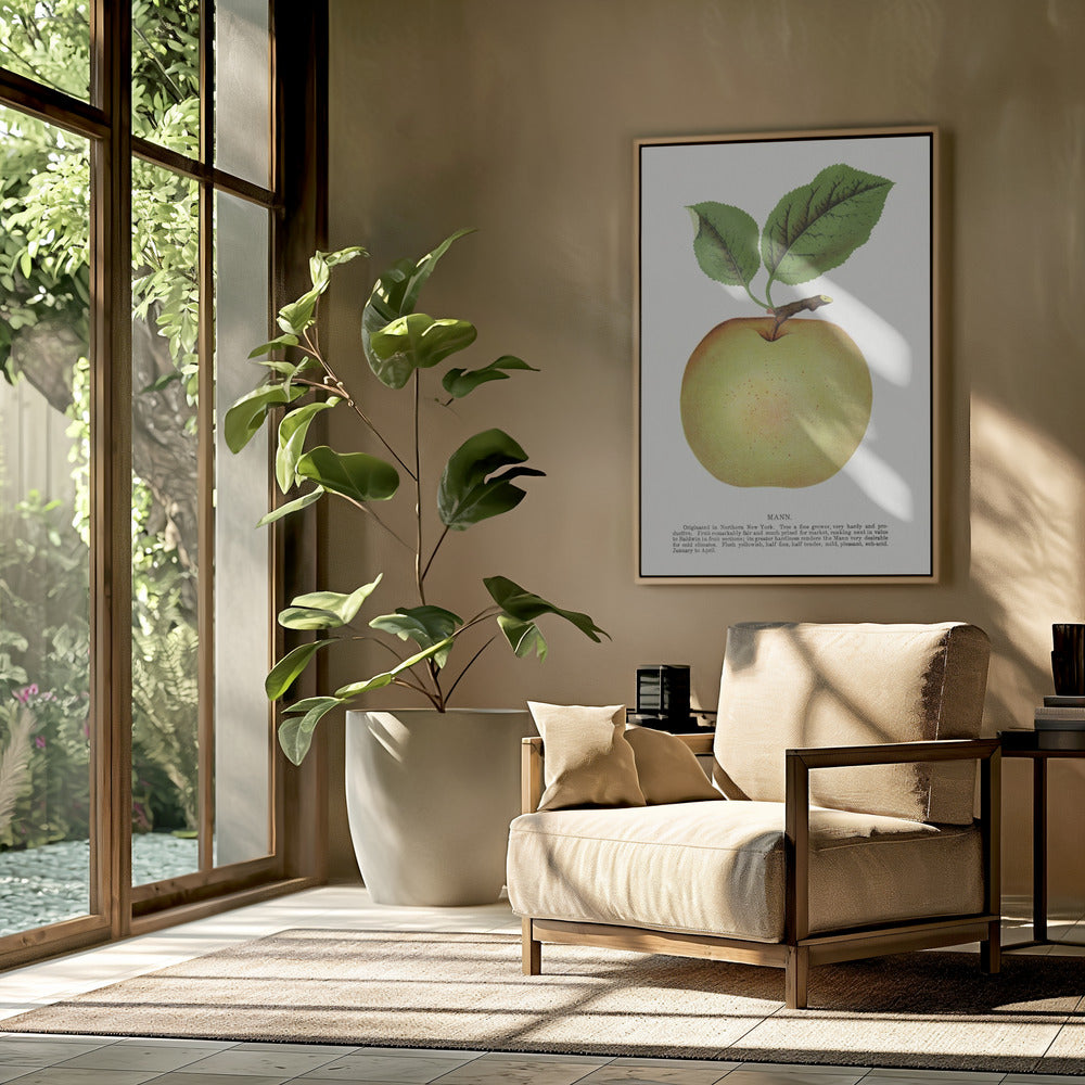 Mann Apple Lithographie | Poster