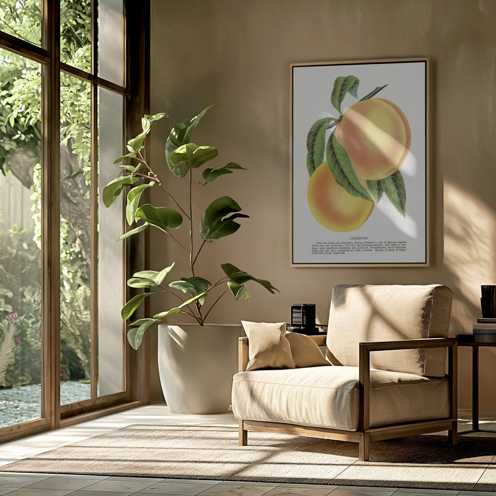 Champion Plum Lithographie | Poster