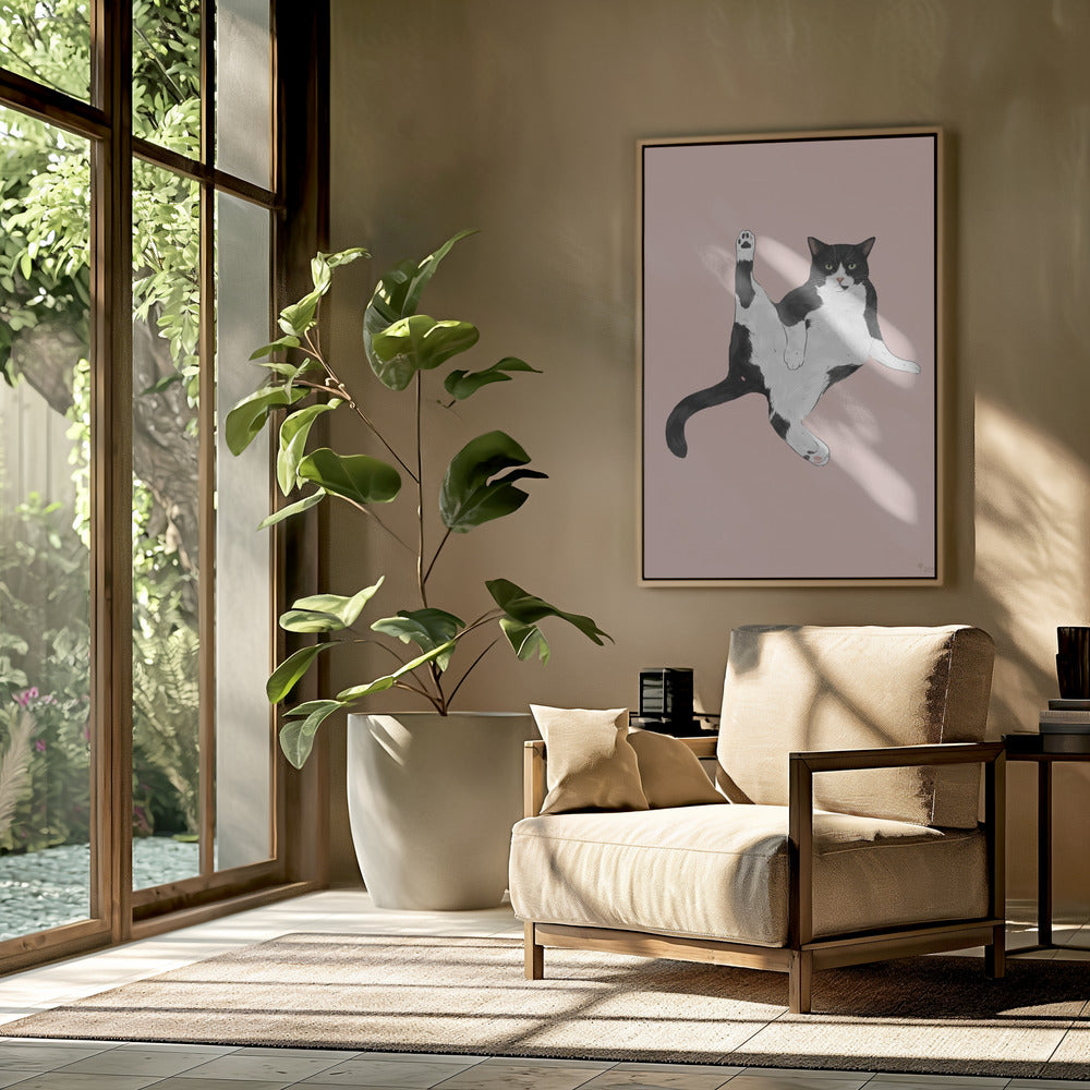 Katze in einer lustigen Pose | Poster