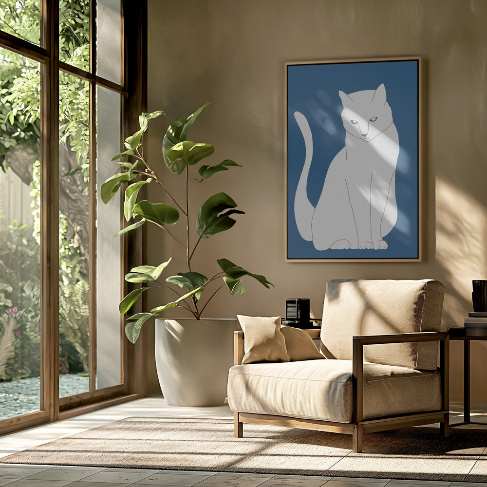 Weiße und blaue Katze | Poster