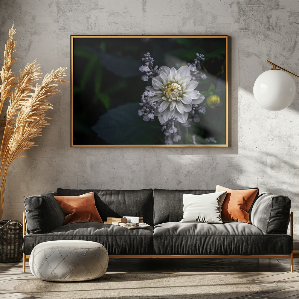 Dahlia flower | Canvas