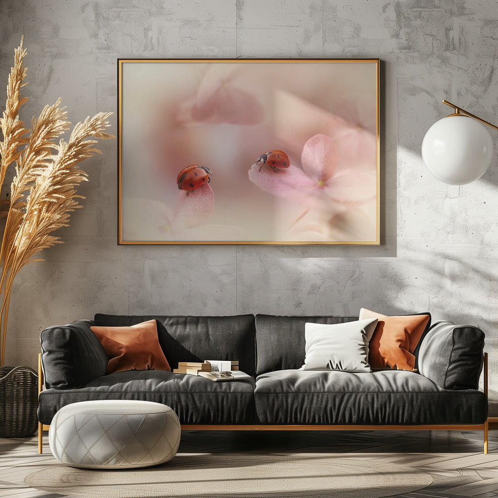 Marienkäfer auf rosa Hortensie. | Leinwand